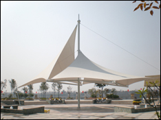 (sh)2.jpg
